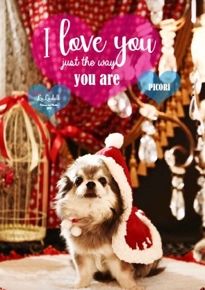 KENTAカメラマン×ルルドール晩秋カタログプレミアム撮影会