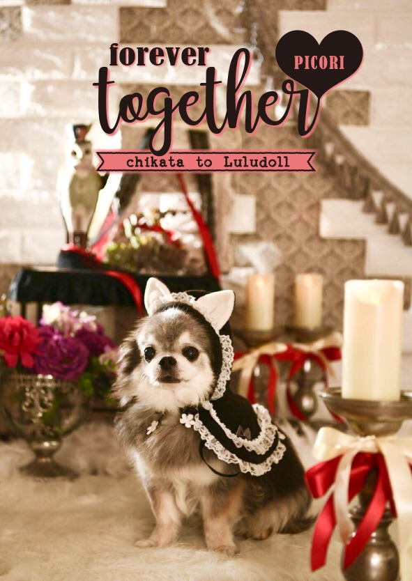 Night Photo Session Autumn 2019