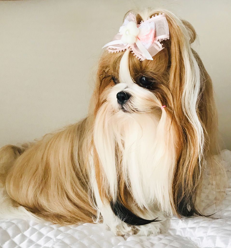 ジャスミンさん