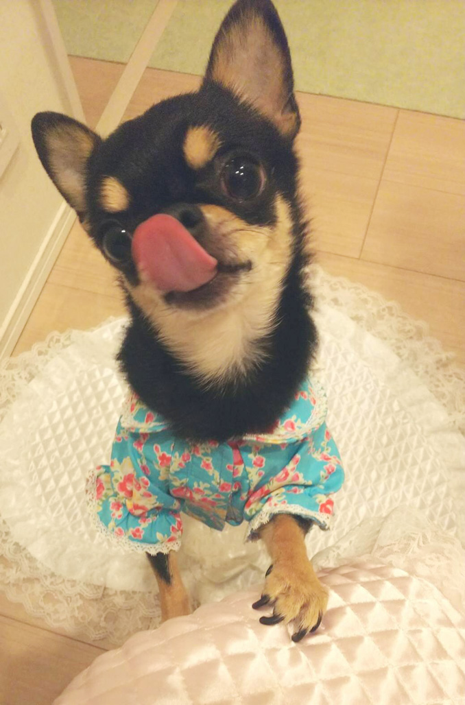 じゅりあんさん