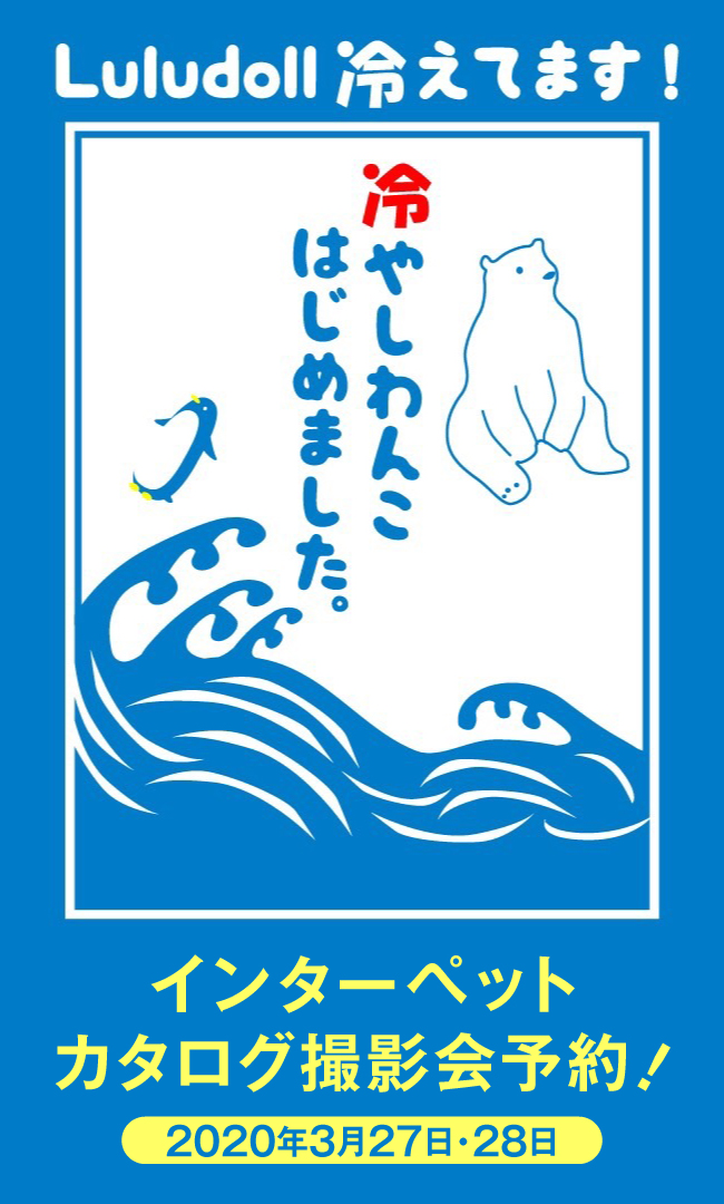 インターペットカタログ撮影予約！
