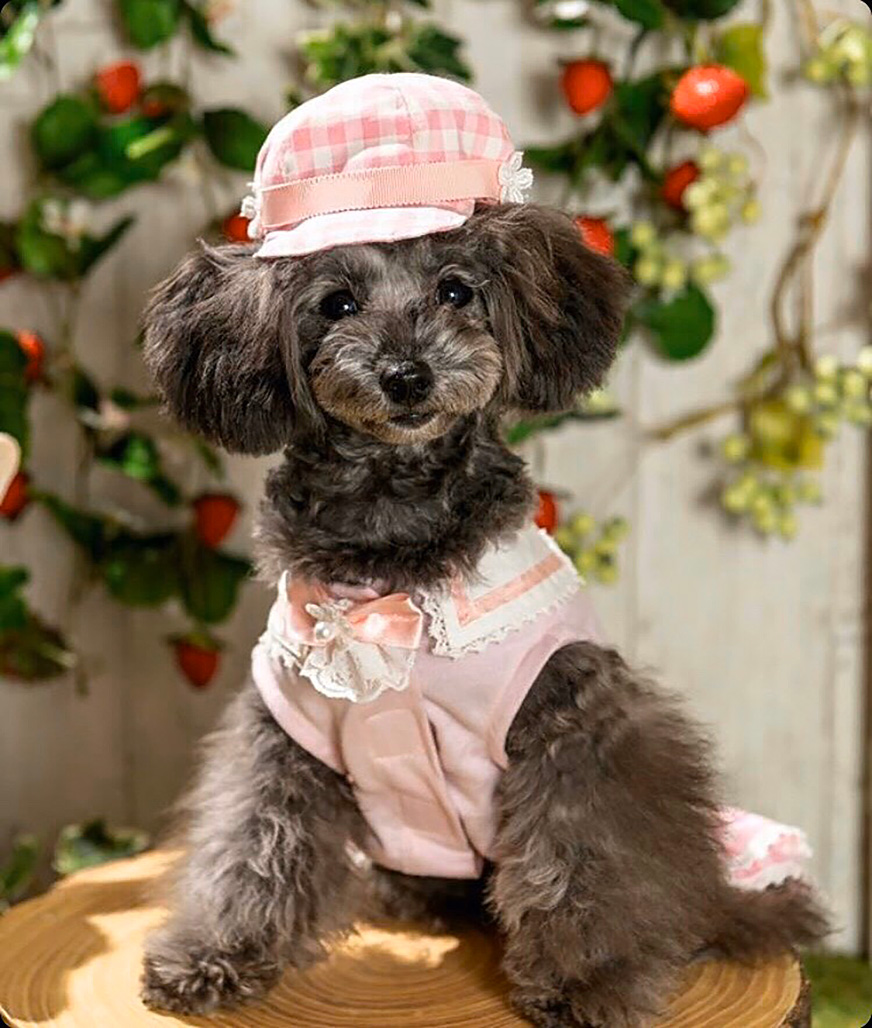 happiness luana ハピネスルアナさん