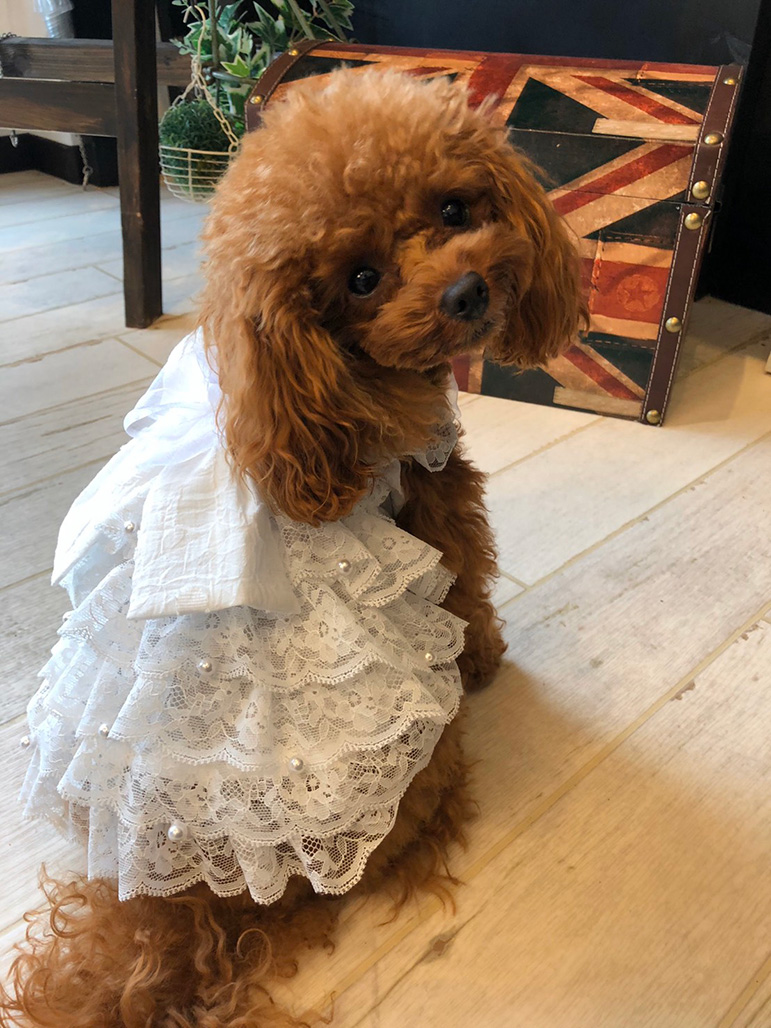 晴（はる）さん