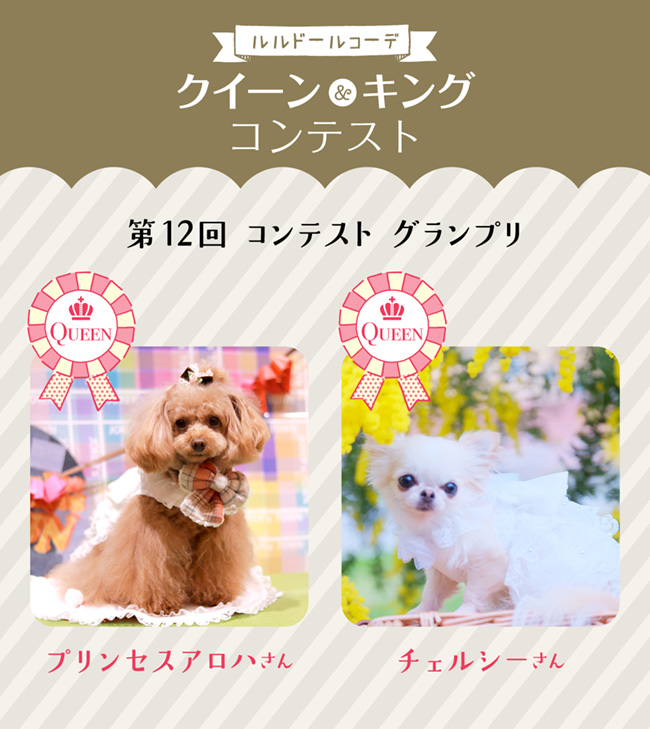 第12回クイーン＆キングコンテスト結果