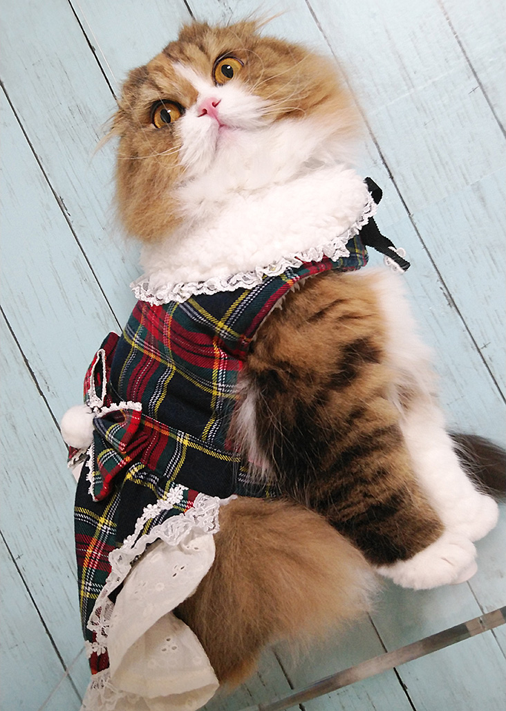 小豆(こまめ)さん