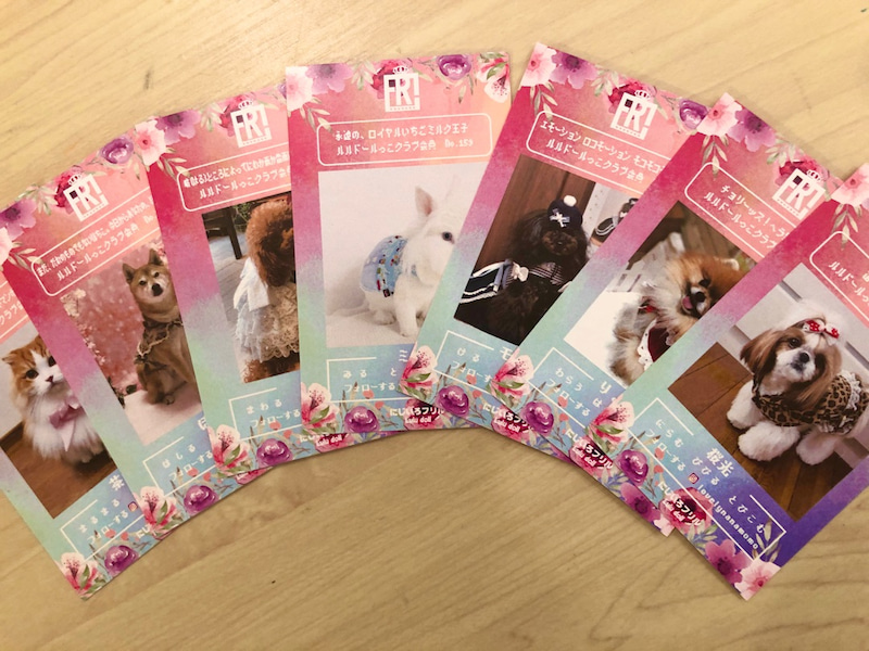 ルル王国カード