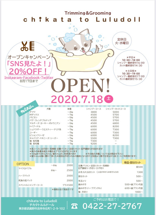 トリミング&グルーミングでchikata to Luludollリニューアルオープンです！
