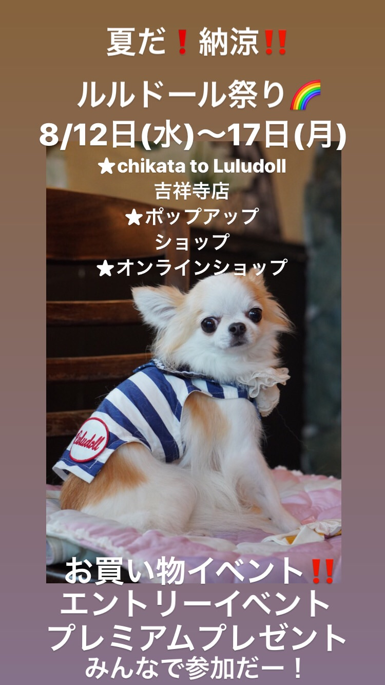 夏だ！納涼！ルルドール祭り・開催！！