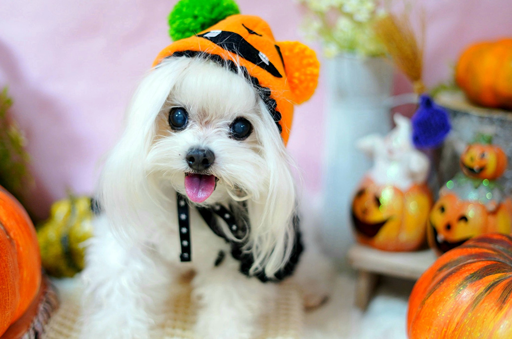 まるちゃんさん