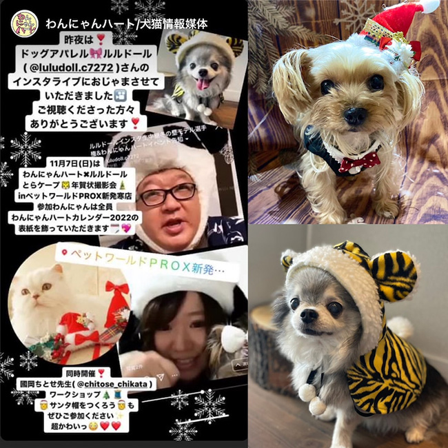 北海道イベントワークショップと撮影会ご予約について！