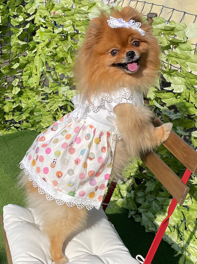 ルル（Lulu）さん