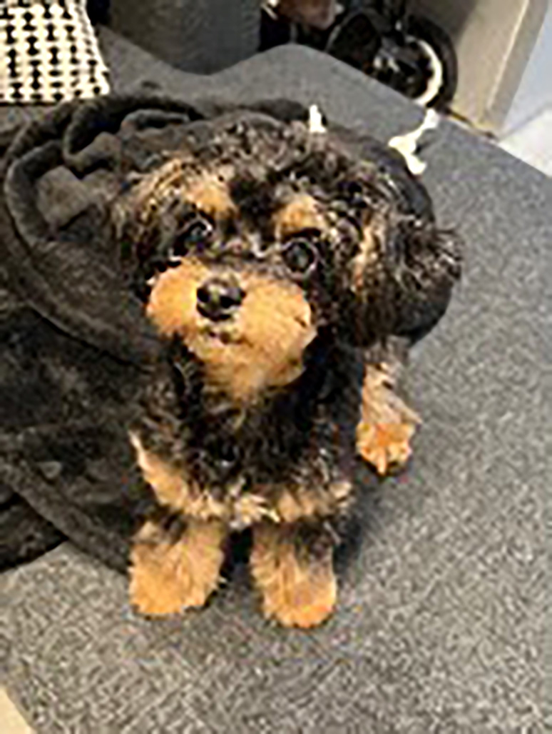 ケンシロウさん