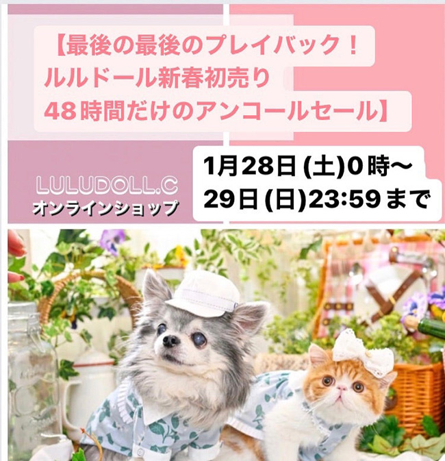 最後の最後のプレイバック！ルルドールオンラインセール48時間のアンコール