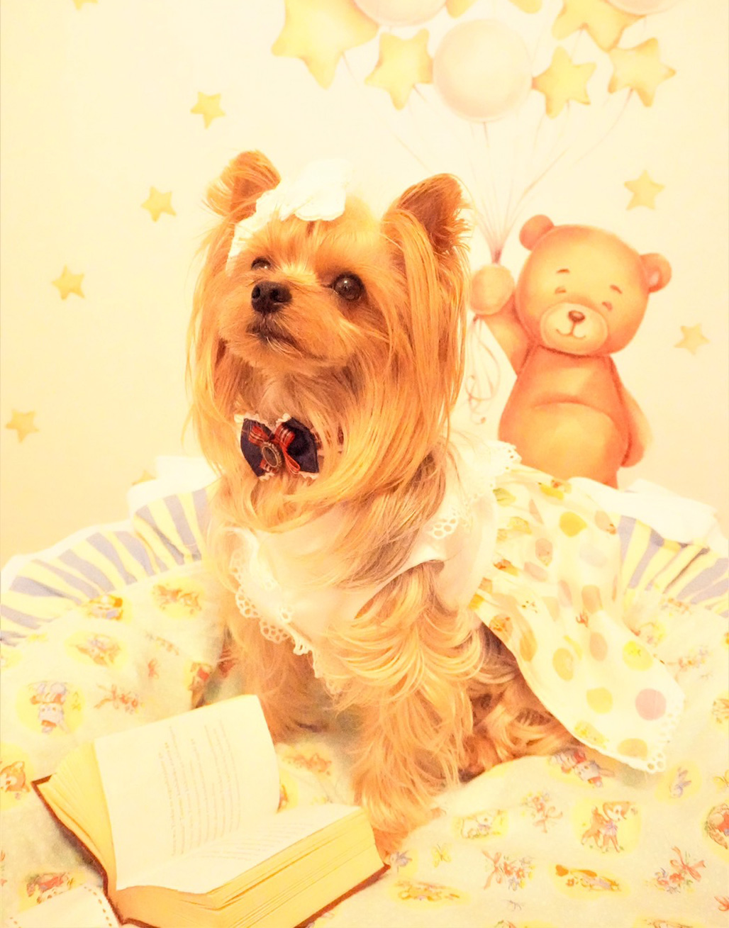 キャンディさん