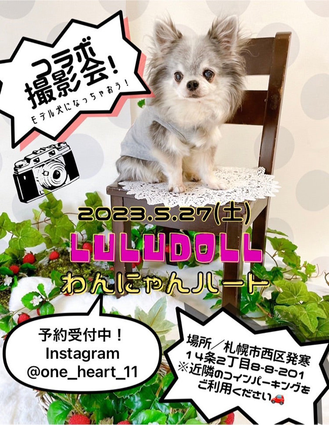 わんハート×ルルドールコラボ撮影会お申し込み受付スタート！