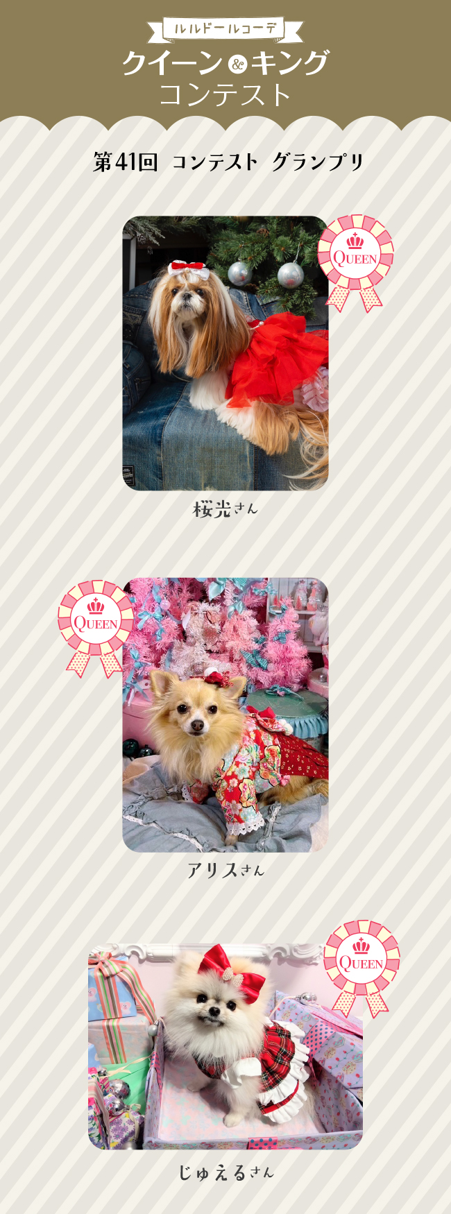 2024年12月のクイーン&キング発表！