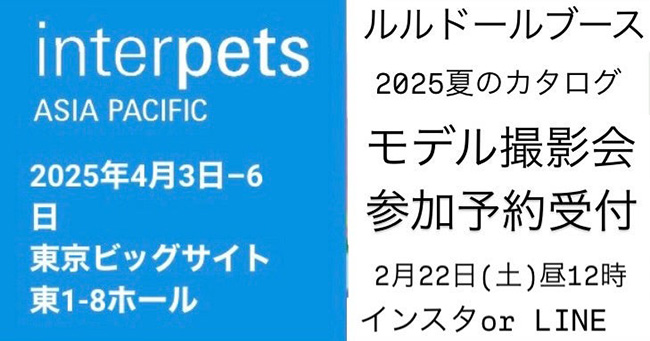 インターペットルルドール夏のカタログ撮影会