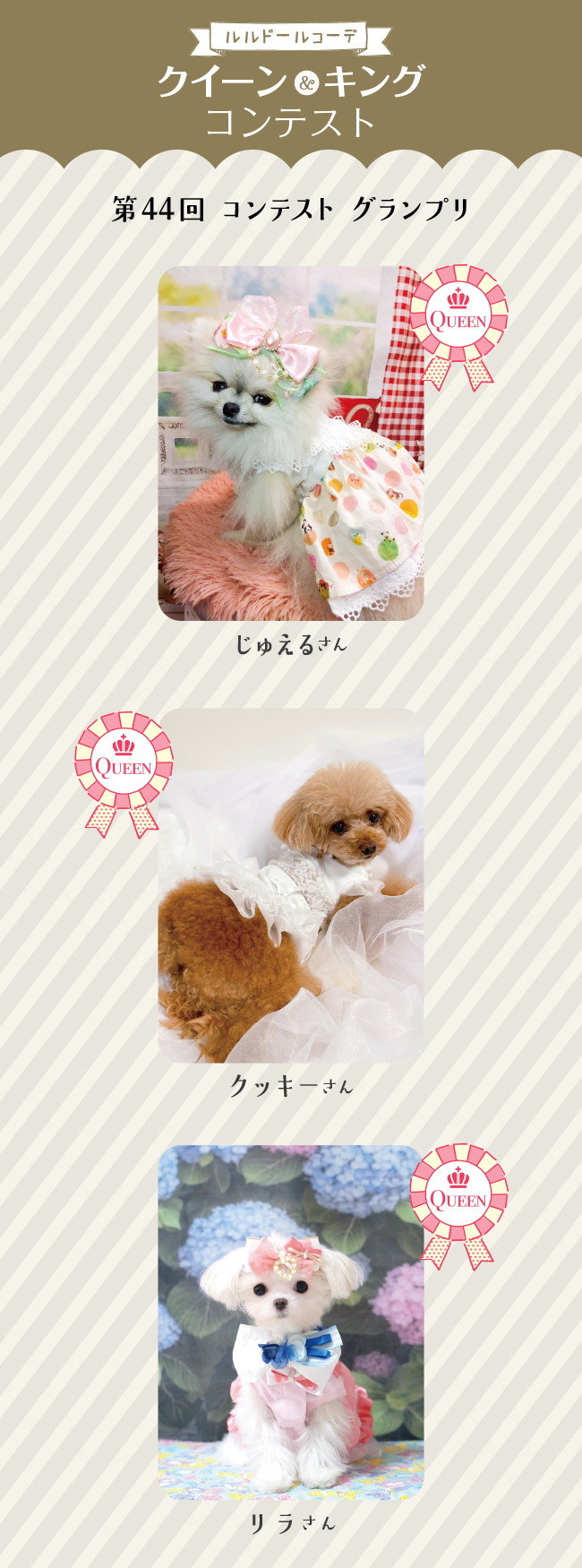 2025年6月のクイーン&キング発表！